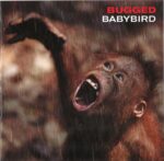 BUGGED BABYBIRD