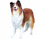 PAPO COLLIE LASSIE DOG FIGURE ΚΟΛΕΥ