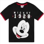 MICKEY MOUSE BOYS TSHIRT 5 YEARS