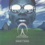 CAPTAIN HOLLYWOOD ANIMALS OR HUMAN