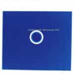 UNDERWORLD BEAUCOUP FISH