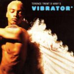 TERENCE TRENT D ARBY VIBRATOR