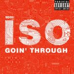 GOIN THROUGH ISO 9001