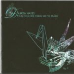 DARREN HAYES THIS DELICATE THING WEVE MADE