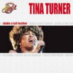 TINA TURNER SHAKE A TAIL FEATHER