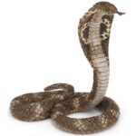 PAPO KING COBRA FIGURE ΚΟΜΠΡΑ