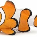 PAPO CLOWN FISH FIGURE