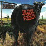 BLINK 182 DUDE RANCH