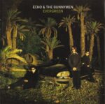 EVERGREEN ECHO AND THE BUNNYMEN