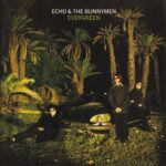 EVERGREEN ECHO AND THE BUNNYMEN
