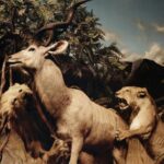 INTERPOL OUR LOVE TO ADMIRE