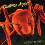 GUANO APES DONT GIVE ME NAMES