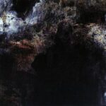 LABRADFORD MI MEDIA NARANJA