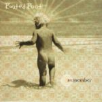 RUSTED ROOT REMEMBER