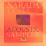 NARADA ACOUSTIC SAMPLER 5