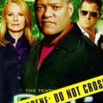 CSI 10TH SEASON