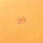 KOS JOYFUL REBELLION