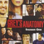 GREYS ANATOMY 1ST SEASON