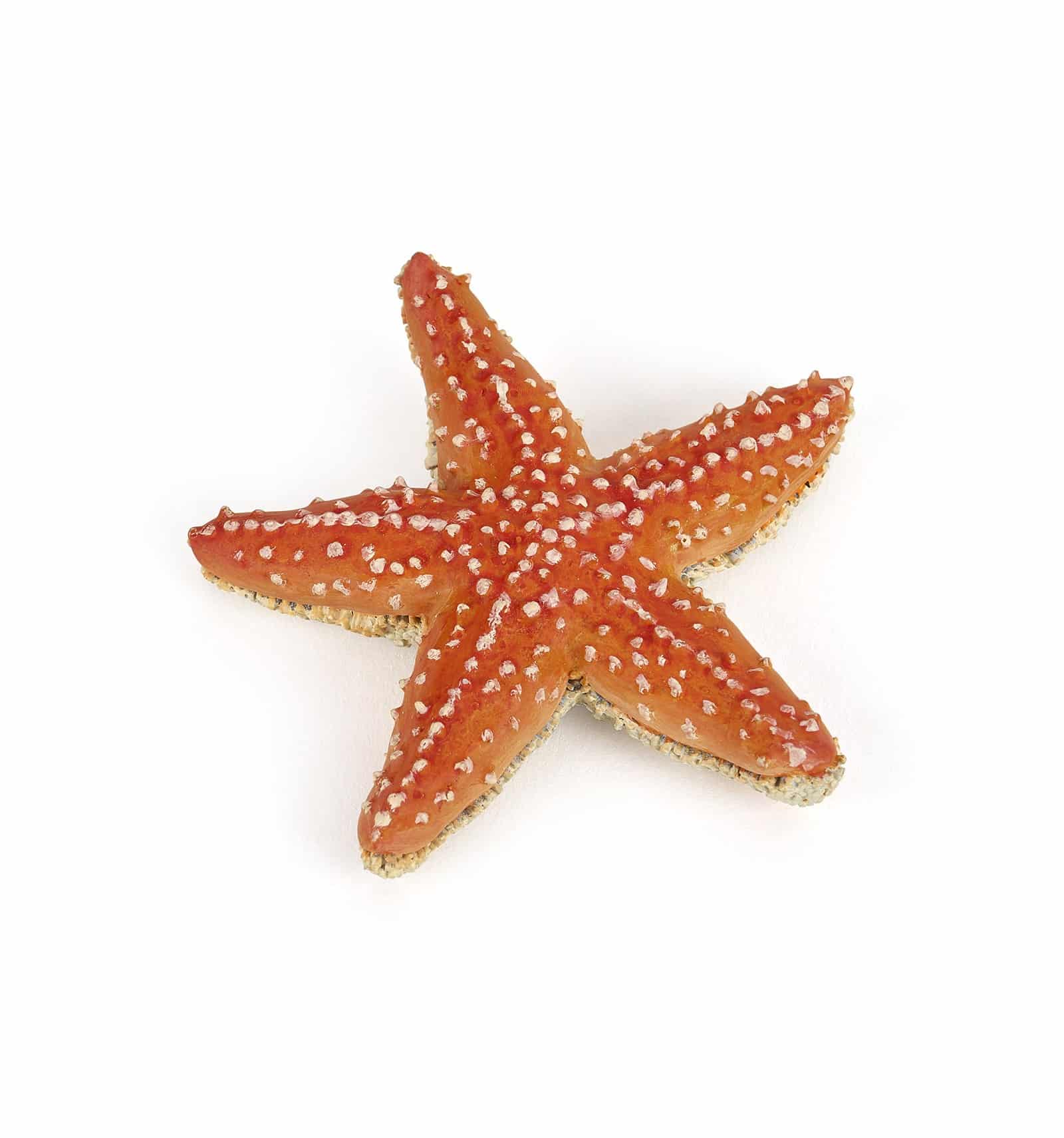 3465000560508.jpg PAPO STARFISH FIGURE ΑΣΤΕΡΙΑΣ - Image 1