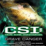 CSI :GRAVE DANGER ΣΤΟΝ ΤΟΠΟ ΤΟΥ ΕΓΚΛΗΜΑΤΟΣ