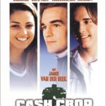 CASH CROP