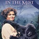 GORILLAS IN THE MIST