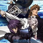 GHOST IN THE SHELL INDIVIDUAL 11