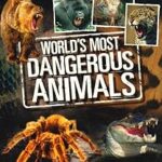 WORLDS MOST DANGEROUS ANIMALS BOX SET