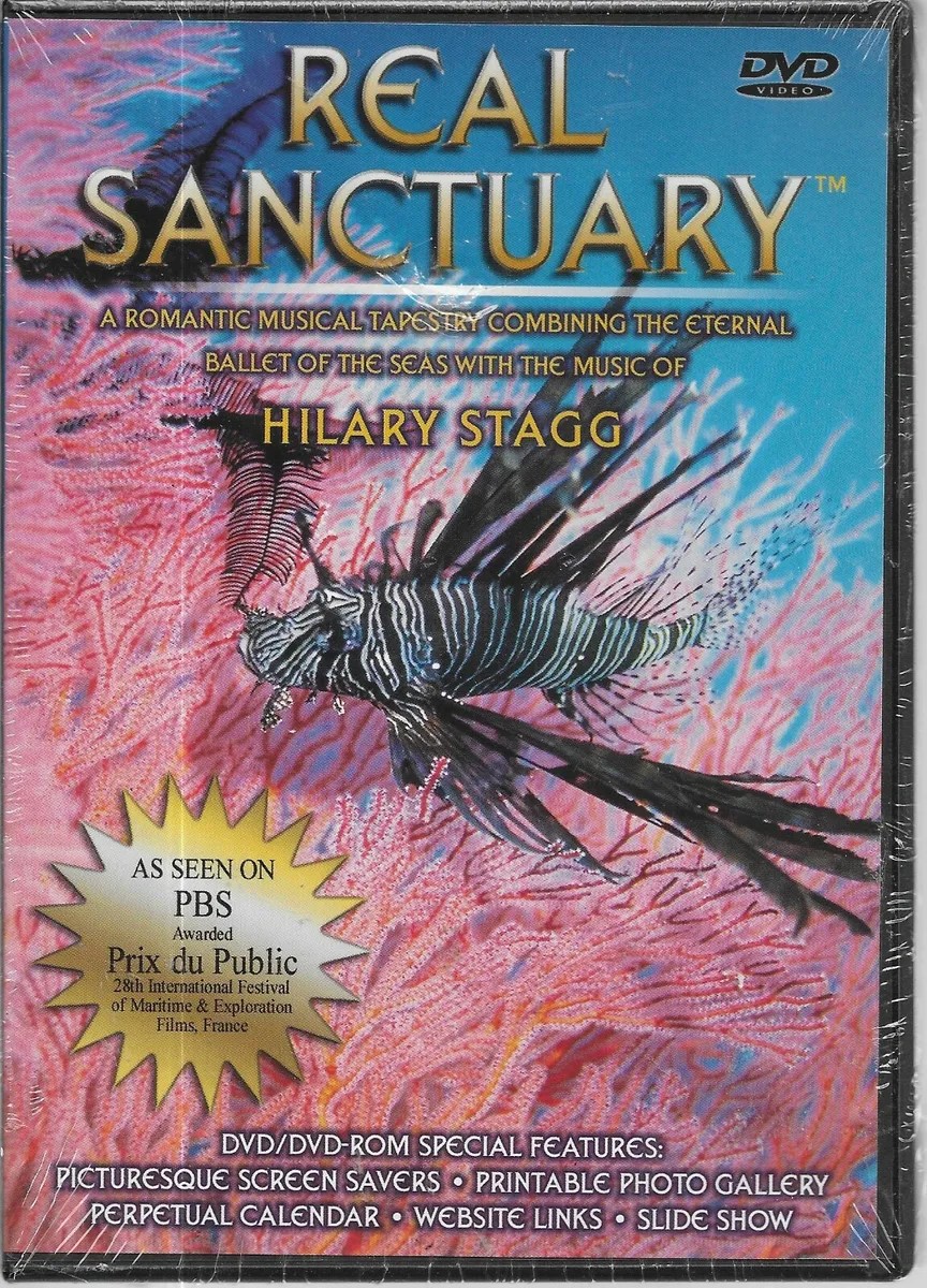 090096091990.jpg REAL SANCTUARY UNDER SEA MUSICA HILARY STAGG - Image 1