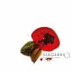 PIROSHKA LOVE DRIPS AND GATHERS LP CLEAR