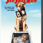 SEE SPOT RUN ΣΠΟΤ ΑΡΡΑΥ