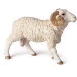 PAPO RAM ΚΡΙΑΡΙ