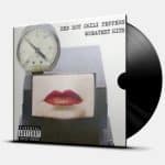 RED HOT CHILI PEPPERS GREATEST HITS 2LP