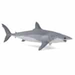 PAPO MAKO SHARK ΚΑΡΧΑΡΙΑΣ