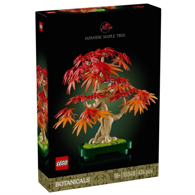 5702017814674.jpg LEGO BOTANICALS JAPANESE RED MAPLE BONSAI - Image 1